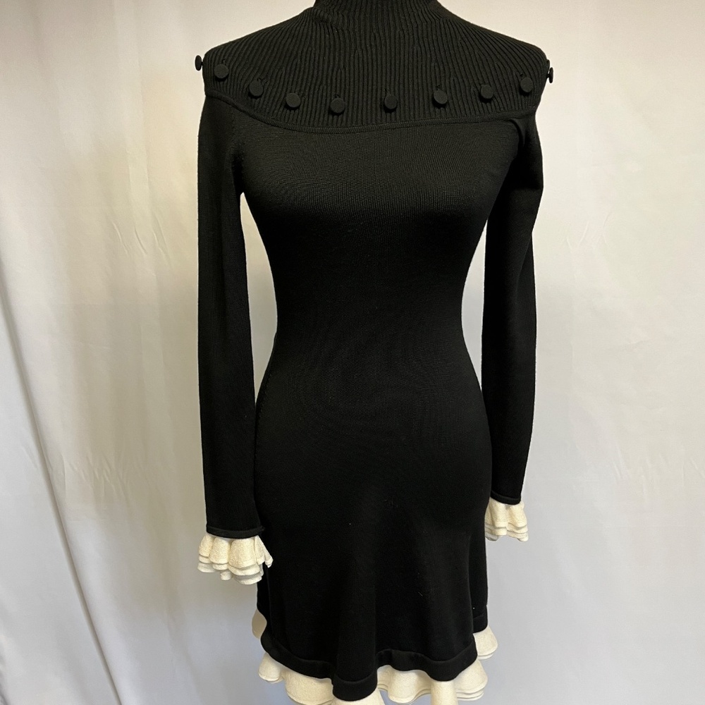 Stunning Alexander McQueen Knit Dress